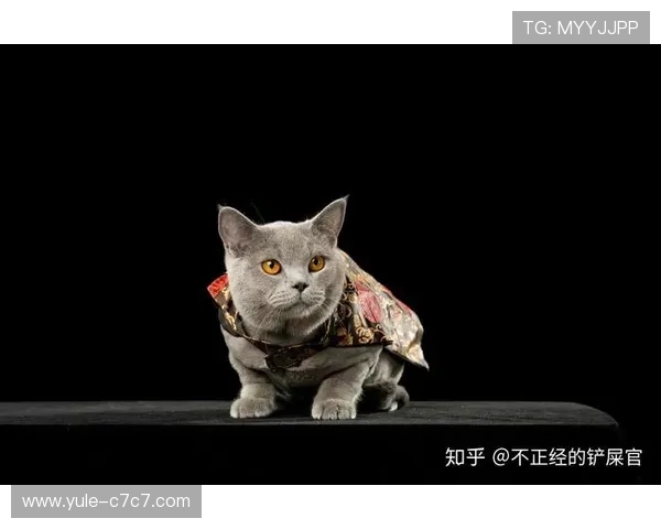 福彩动物总动员今日最新开奖结果揭晓